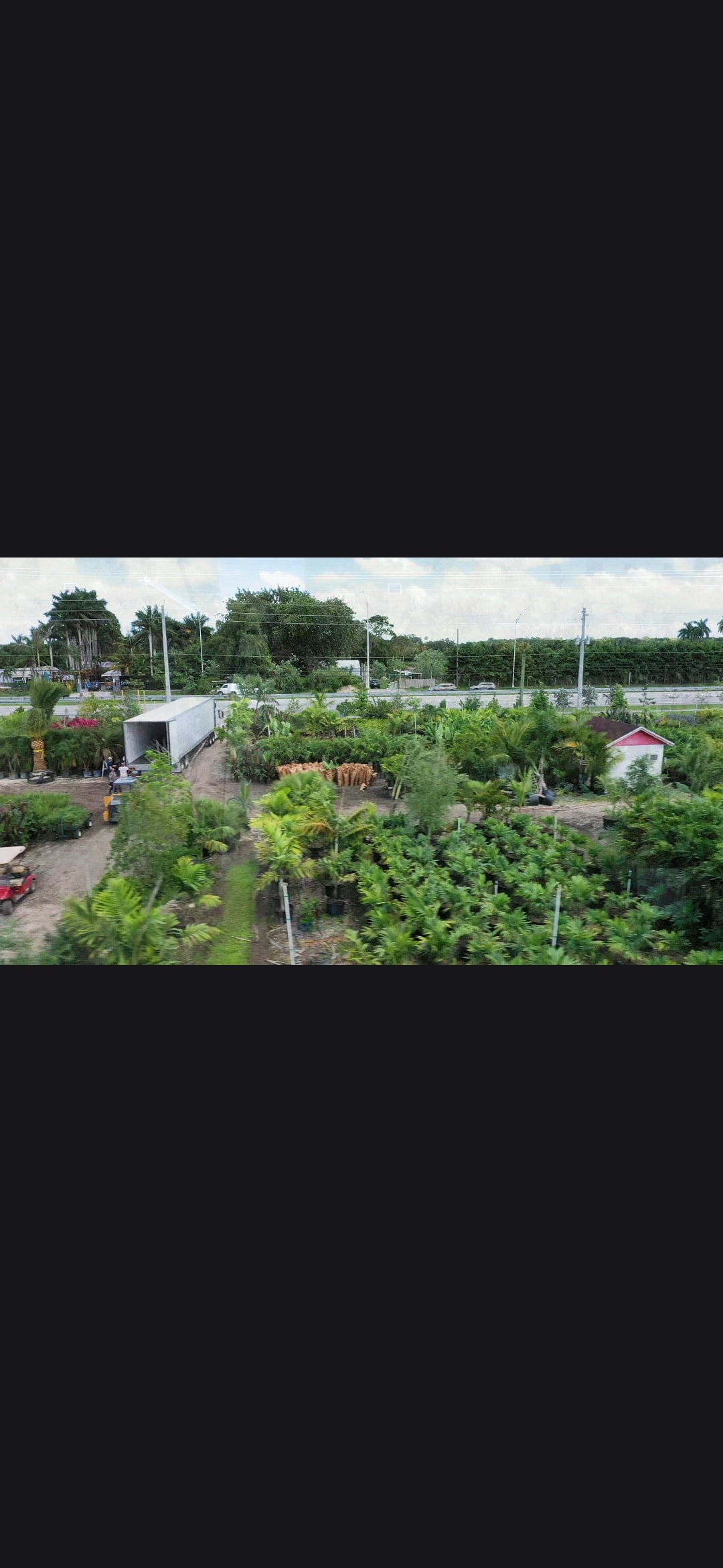 Potted tropical plants at the nursery